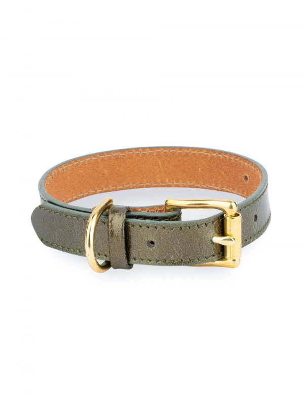 unique green leather dog collar with gold buckle 1