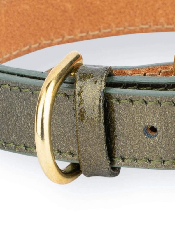 unique green leather dog collar with gold buckle 2
