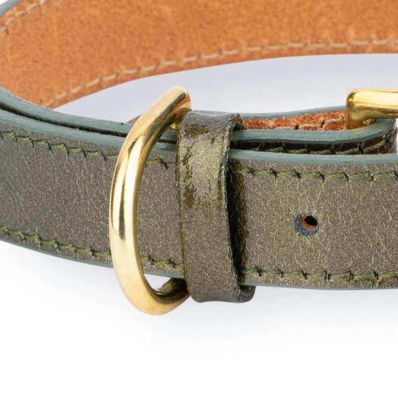 unique green leather dog collar with gold buckle 2