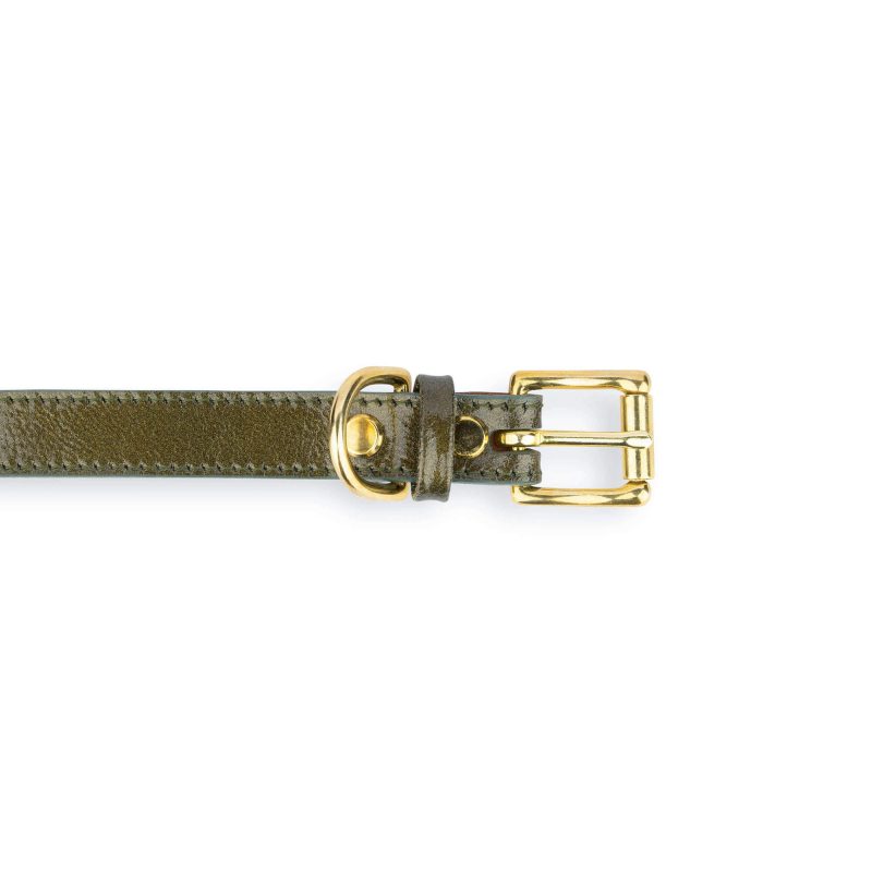 unique green leather dog collar with gold buckle 4