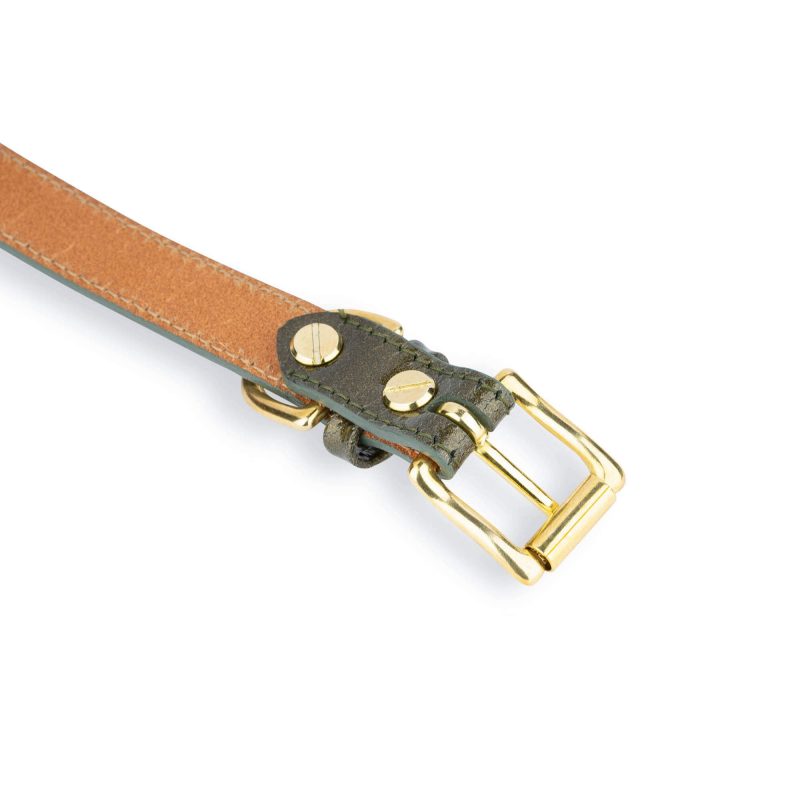 unique green leather dog collar with gold buckle 5