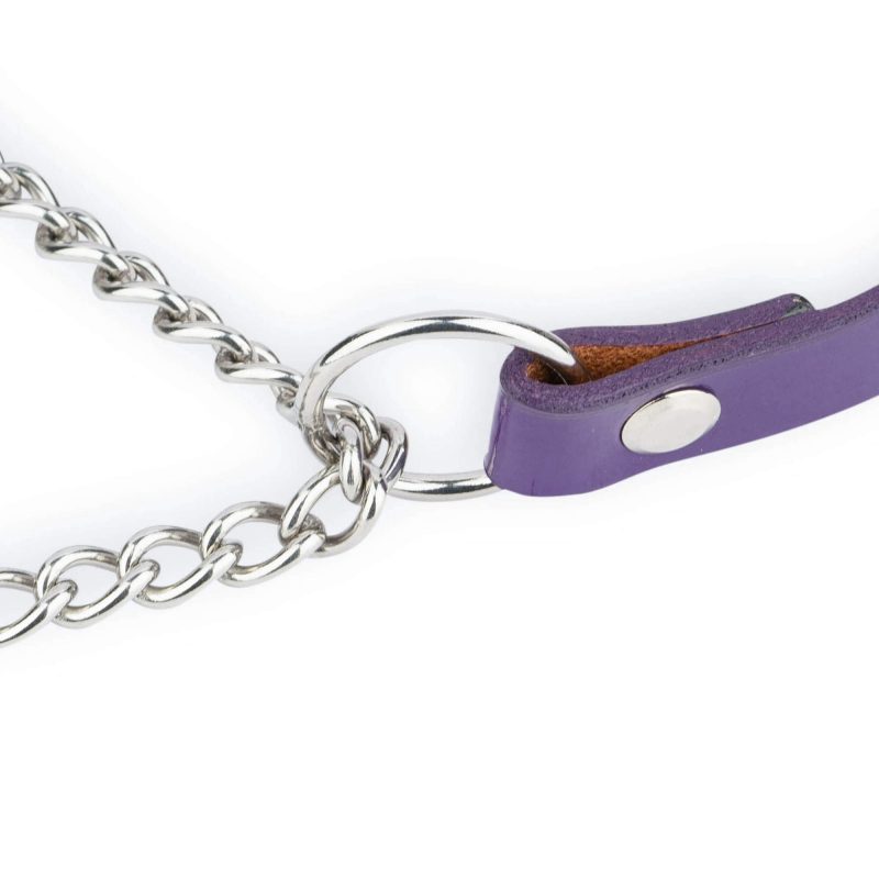 violet leather dog collar silver martingale chain 2