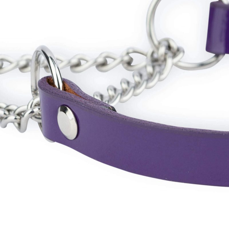 violet leather dog collar silver martingale chain 3