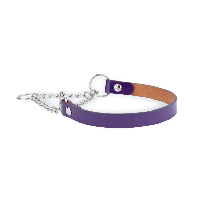 violet leather dog collar silver martingale chain 4