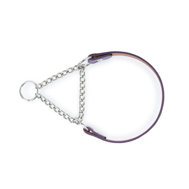 violet leather dog collar silver martingale chain 5