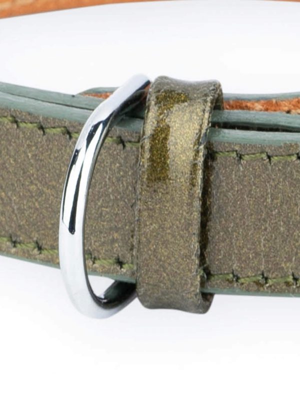 wedding dog collar green leather silver buckle 2