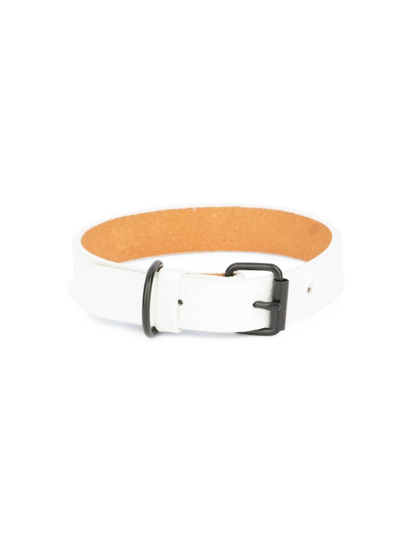 wedding dog collar white leather black buckle 1