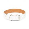 white dog collar genuine leather 1