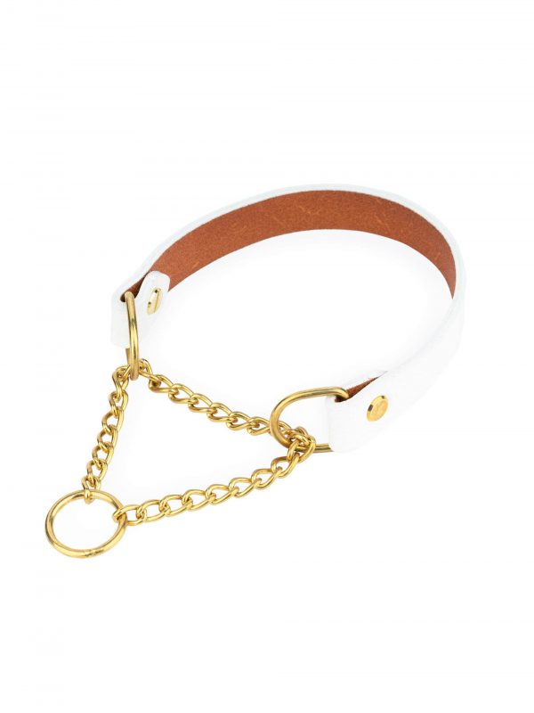 white dog collar martingale gold chain 1