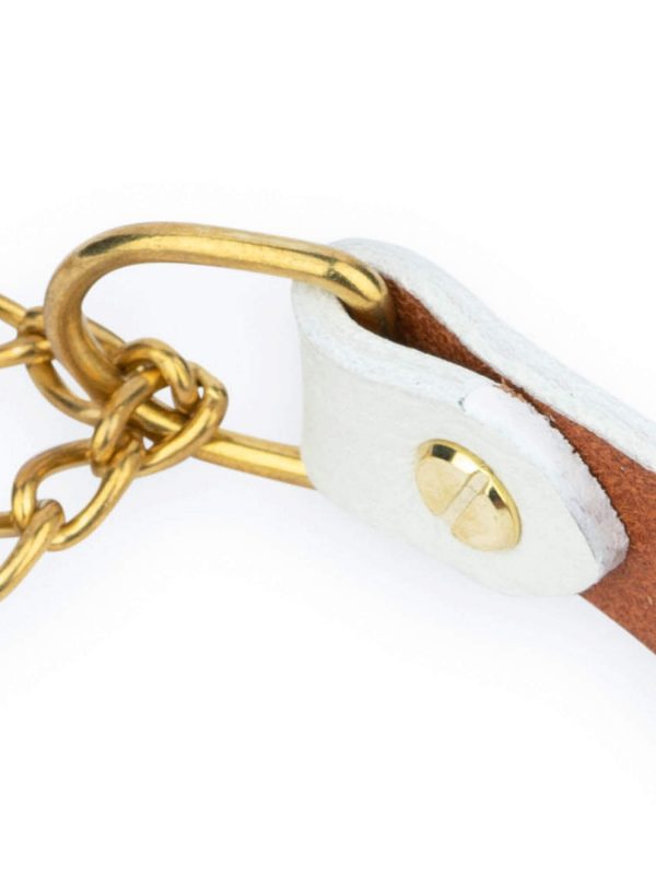 white dog collar martingale gold chain 2