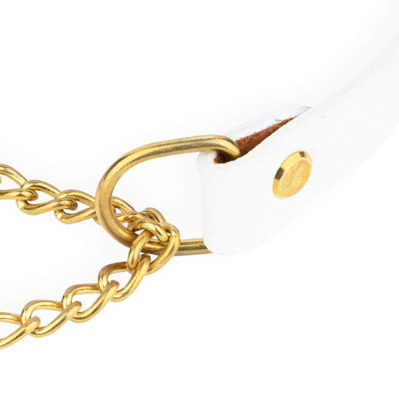 white dog collar martingale gold chain 3