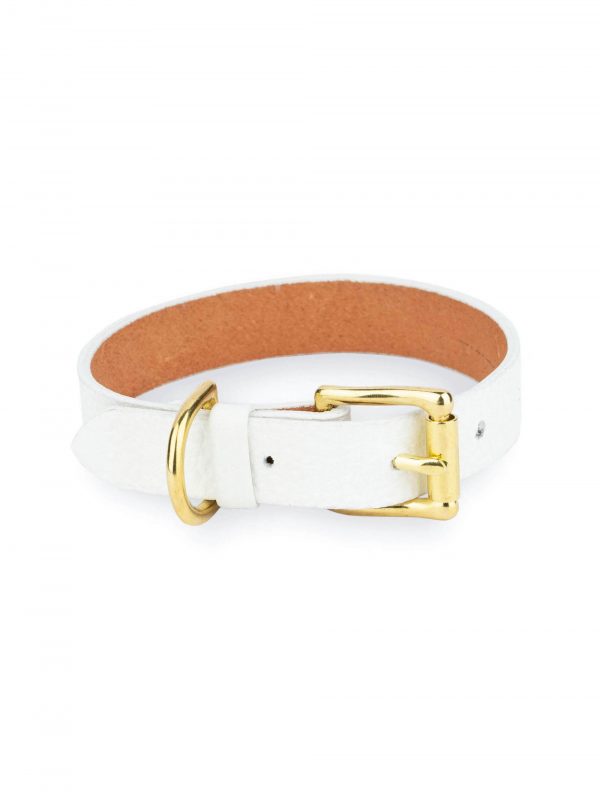 white dog collar with brass buckle 1