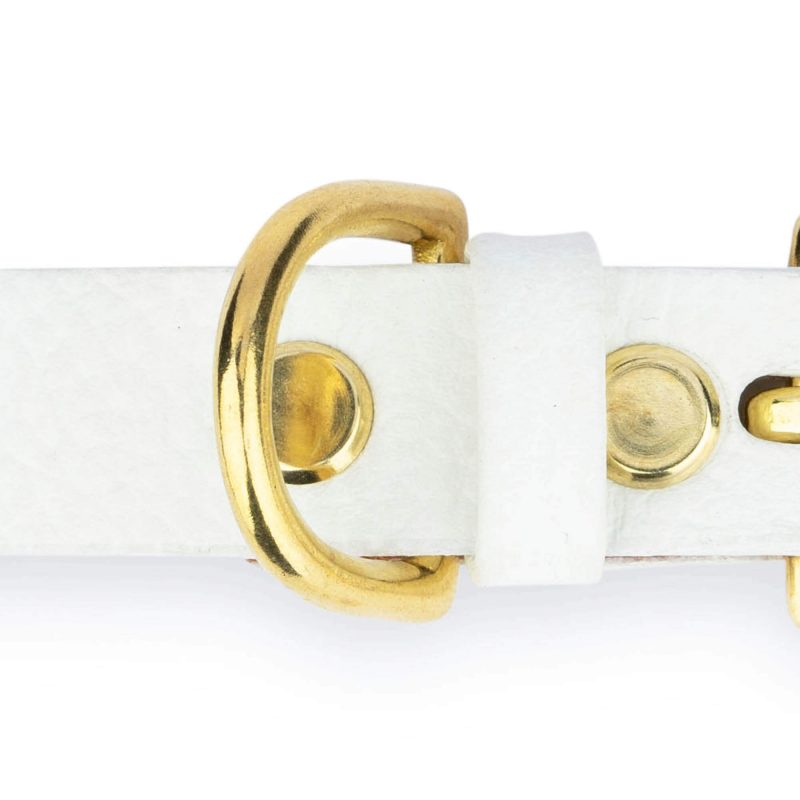 white dog collar with brass buckle 3