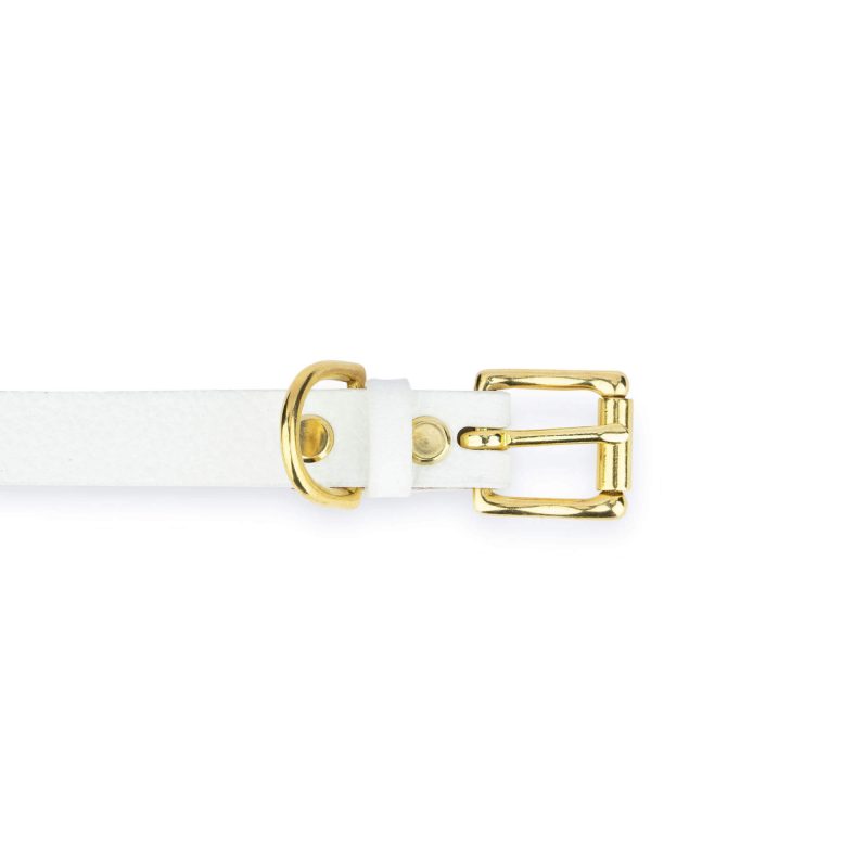 white dog collar with brass buckle 4