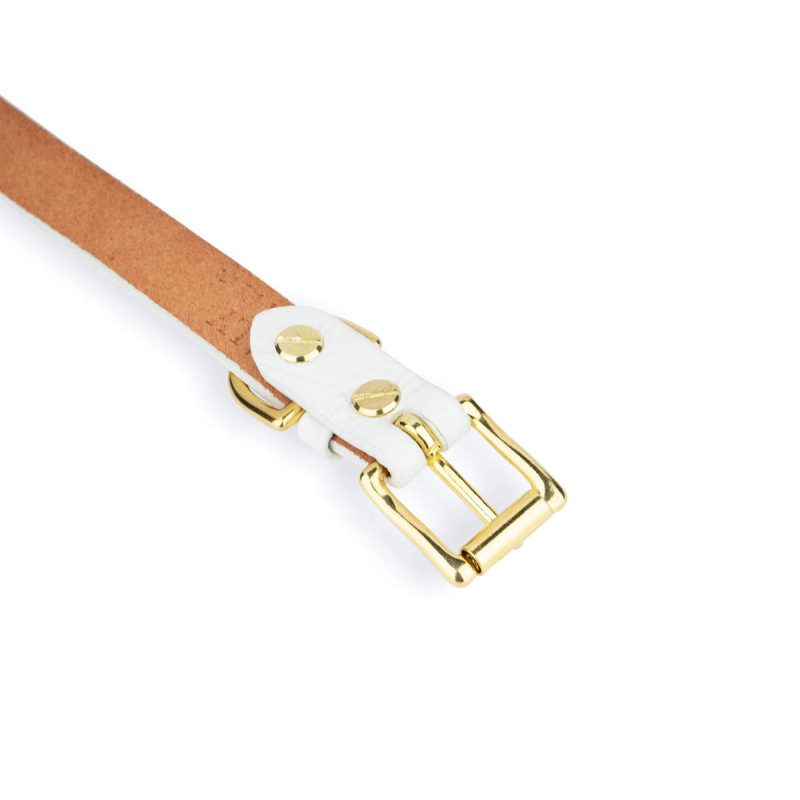 white dog collar with brass buckle 5