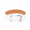 white dog collar with silver buckle 1