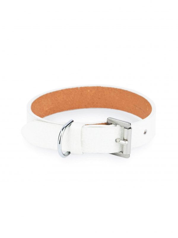 white dog collar with silver buckle 1