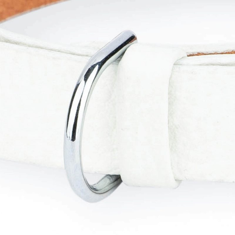 white dog collar with silver buckle 2