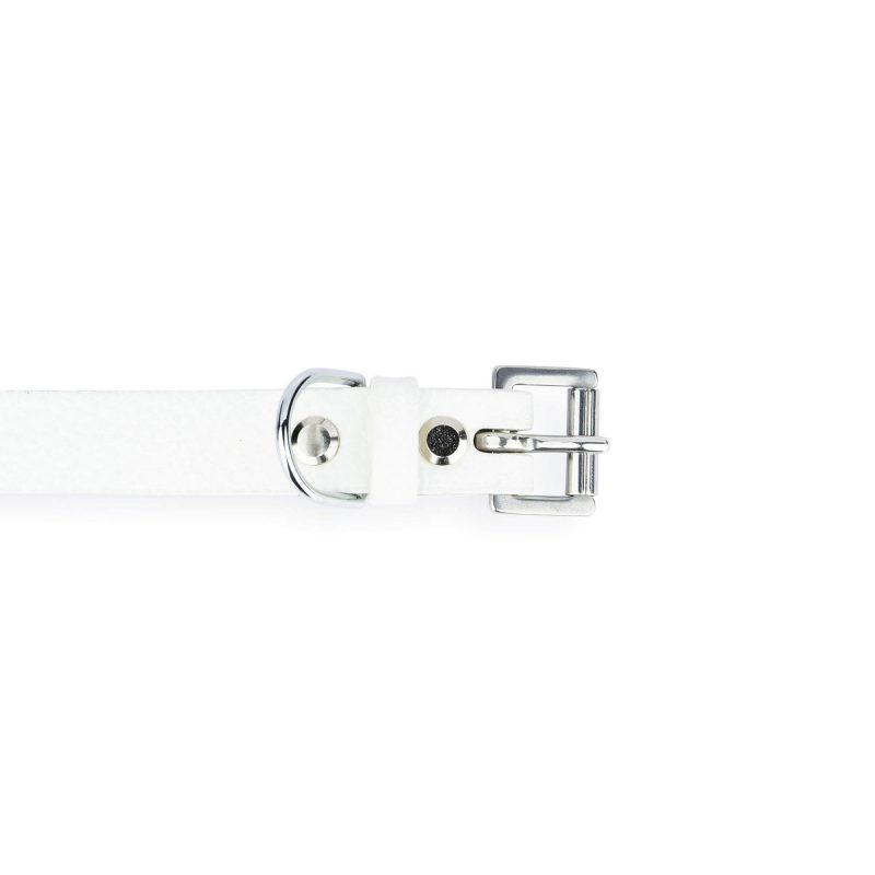 white dog collar with silver buckle 4