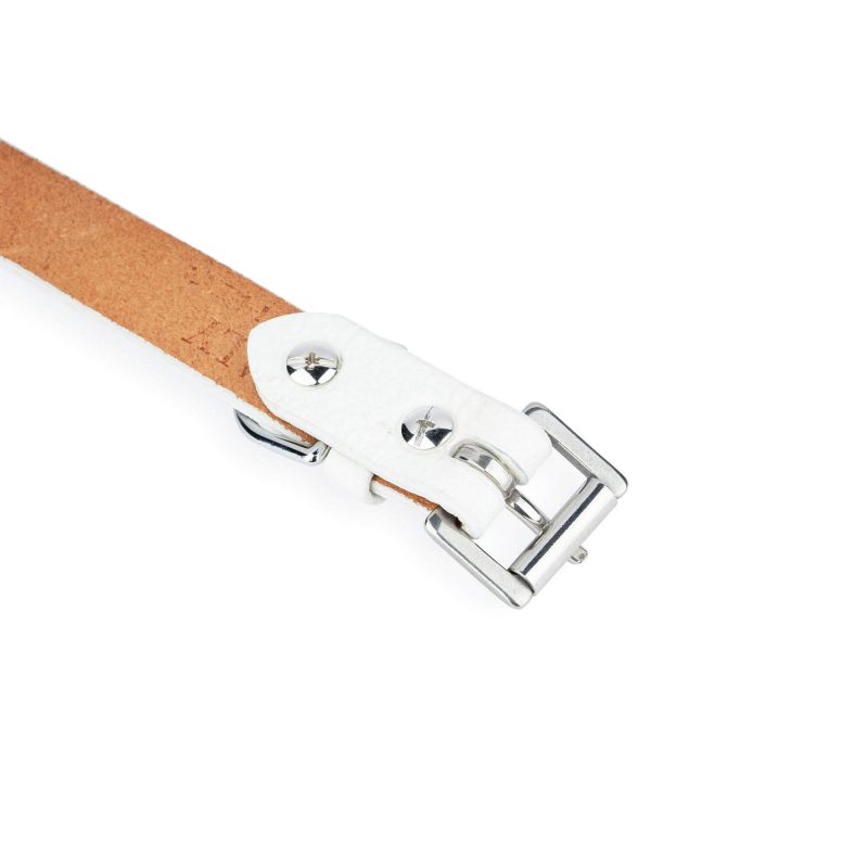 white dog collar with silver buckle 5