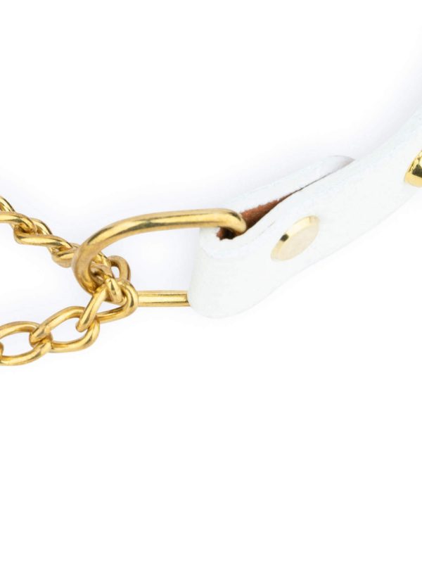 white spiked collar gold martingale chain 2