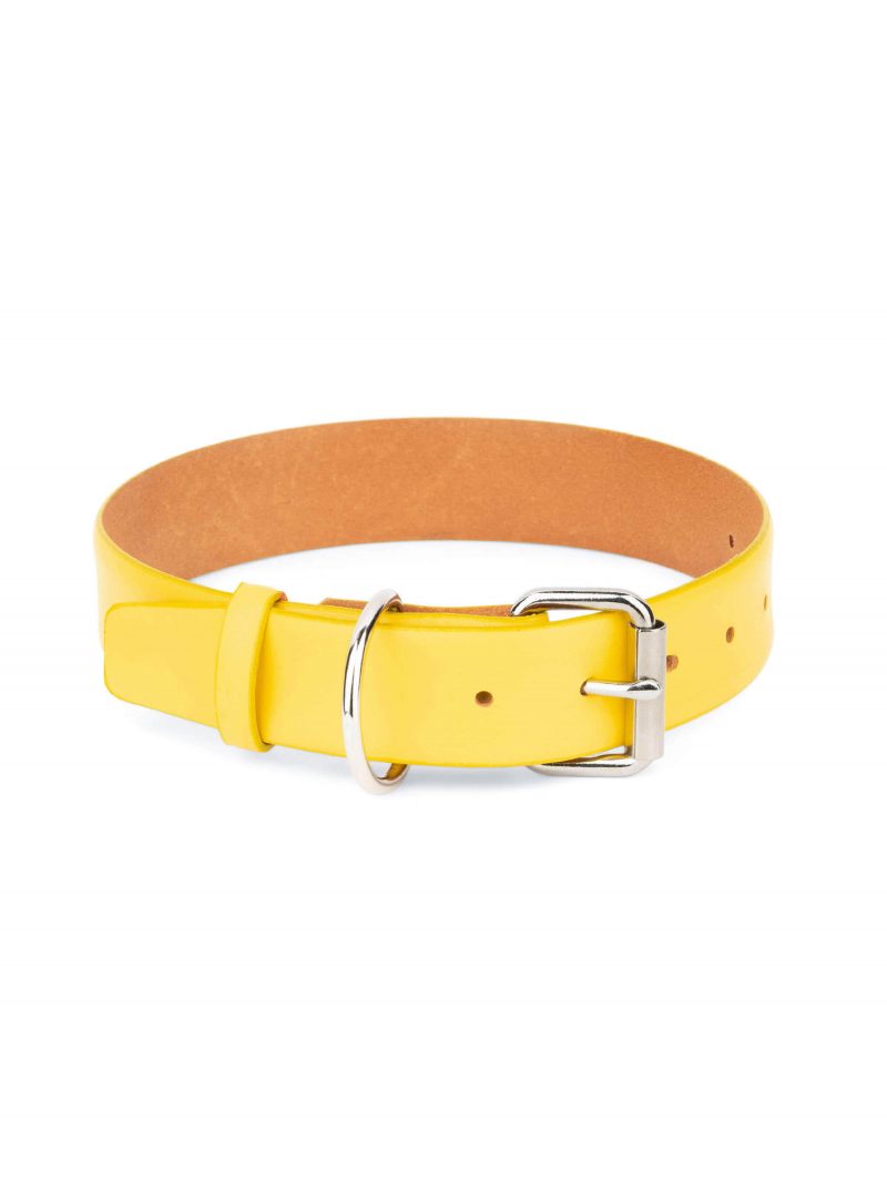 wide yellow dog collar real leather 1