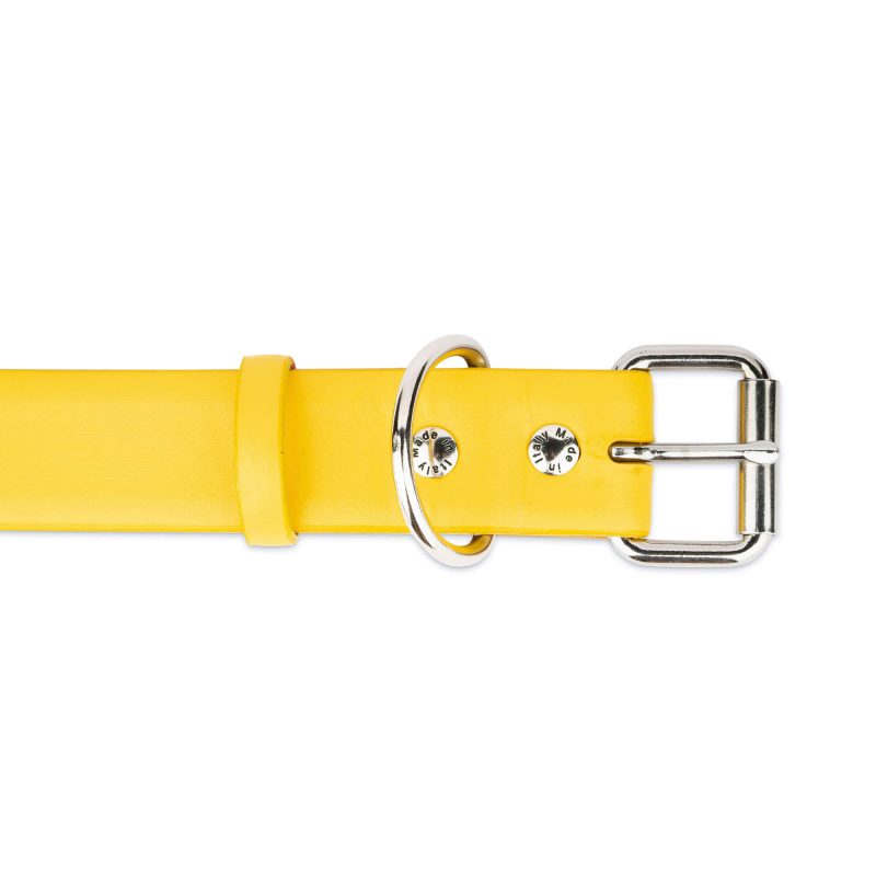 wide yellow dog collar real leather 2