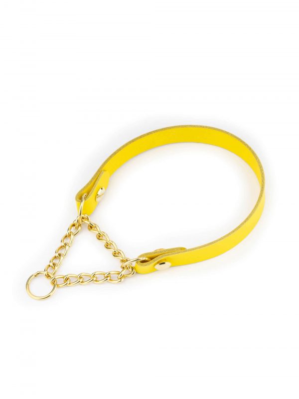 yellow dog collar gold martingale chain 1