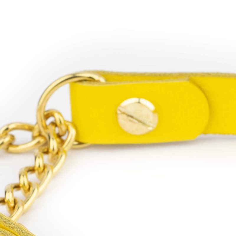 yellow dog collar gold martingale chain 2