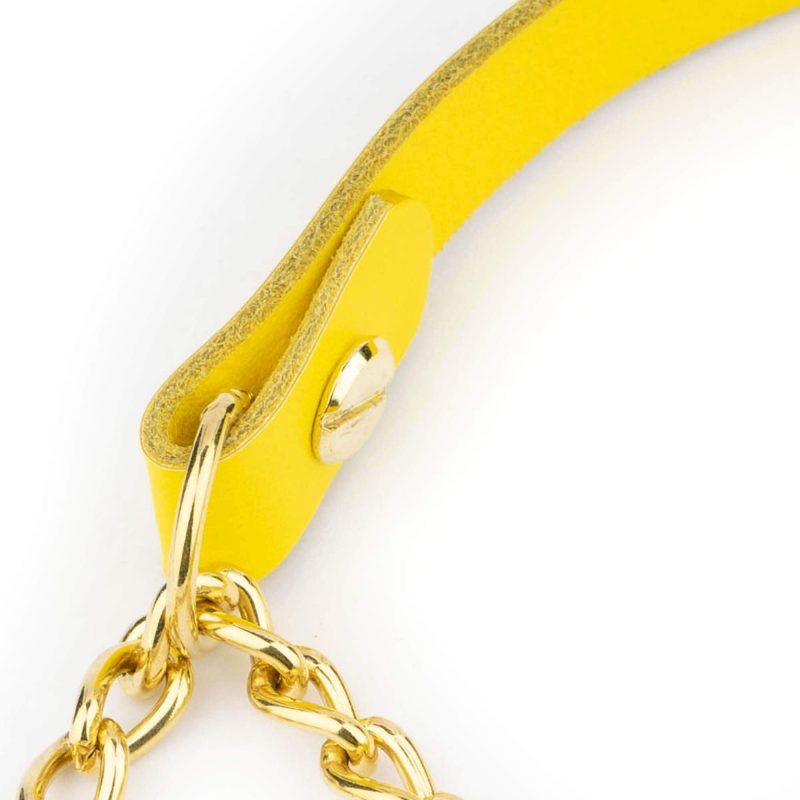 yellow dog collar gold martingale chain 3