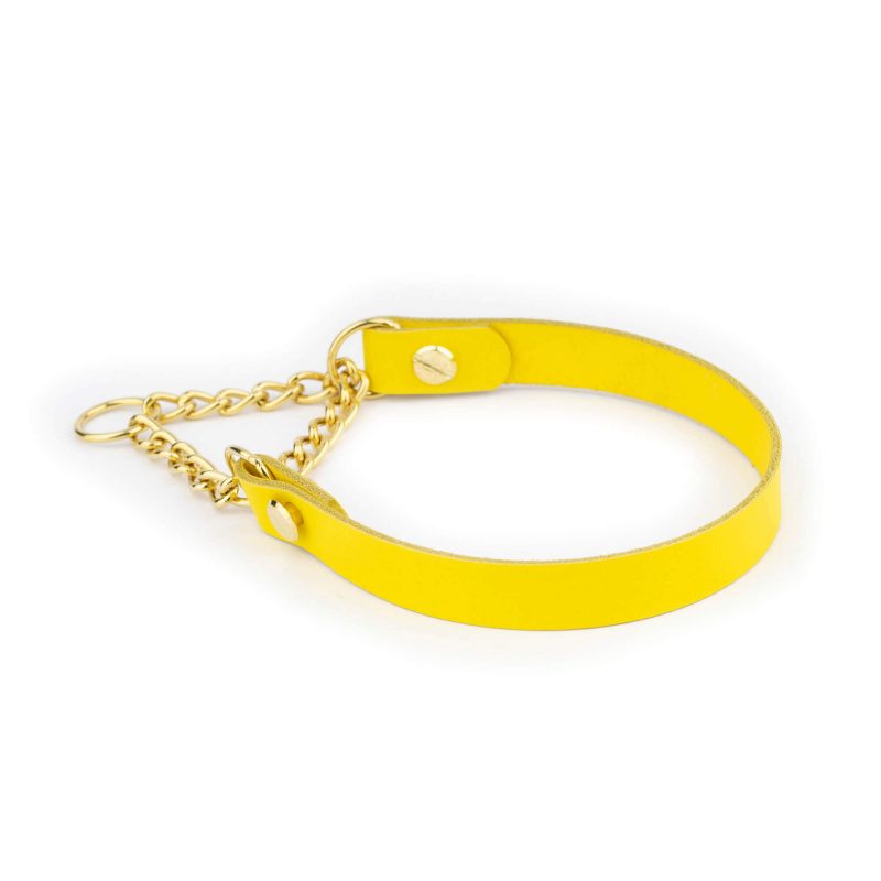 yellow dog collar gold martingale chain 4