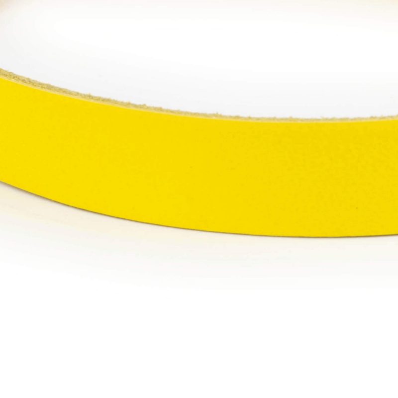 yellow dog collar gold martingale chain 5