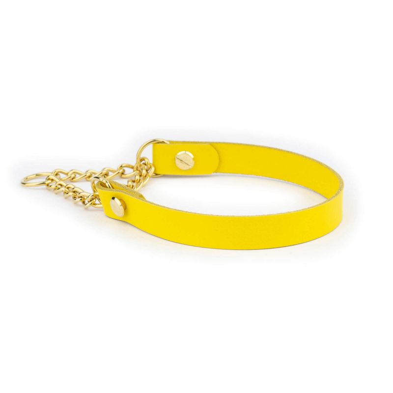 yellow dog collar gold martingale chain 6