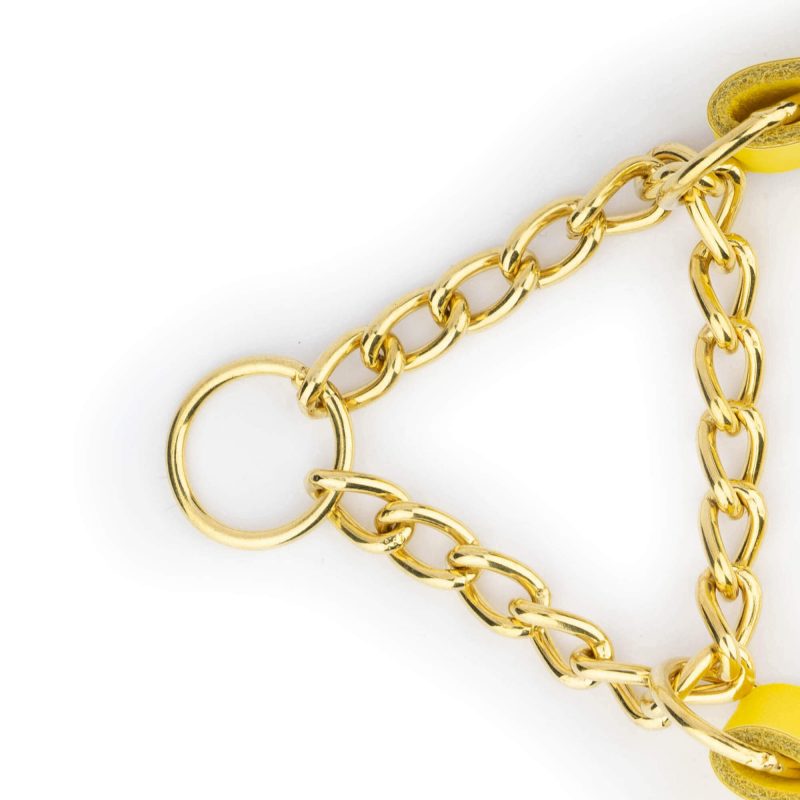 yellow dog collar gold martingale chain 7