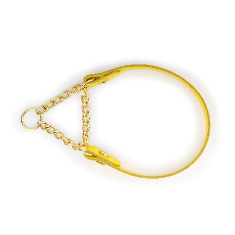 yellow dog collar gold martingale chain 8